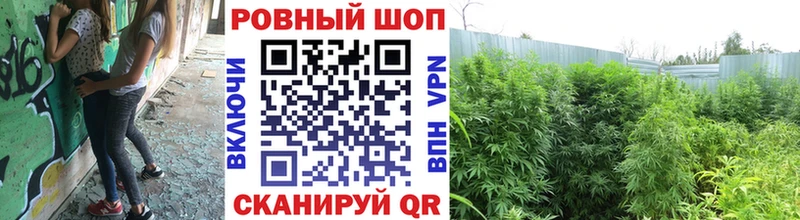 Где можно купить наркотики Соль-Илецк СОЛЬ Мефедрон Псилоцибиновые грибы АМФ COCAIN Конопля