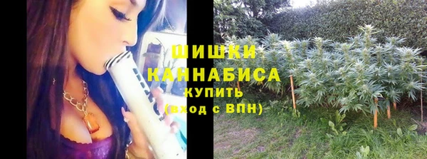 твердый Зеленокумск