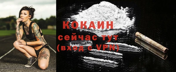 твердый Зеленокумск