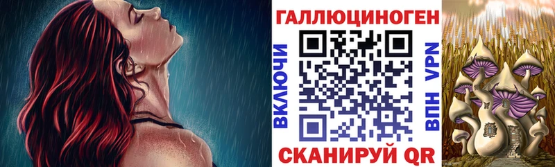где продают наркотики  Соль-Илецк  Псилоцибиновые грибы Psilocybine cubensis 