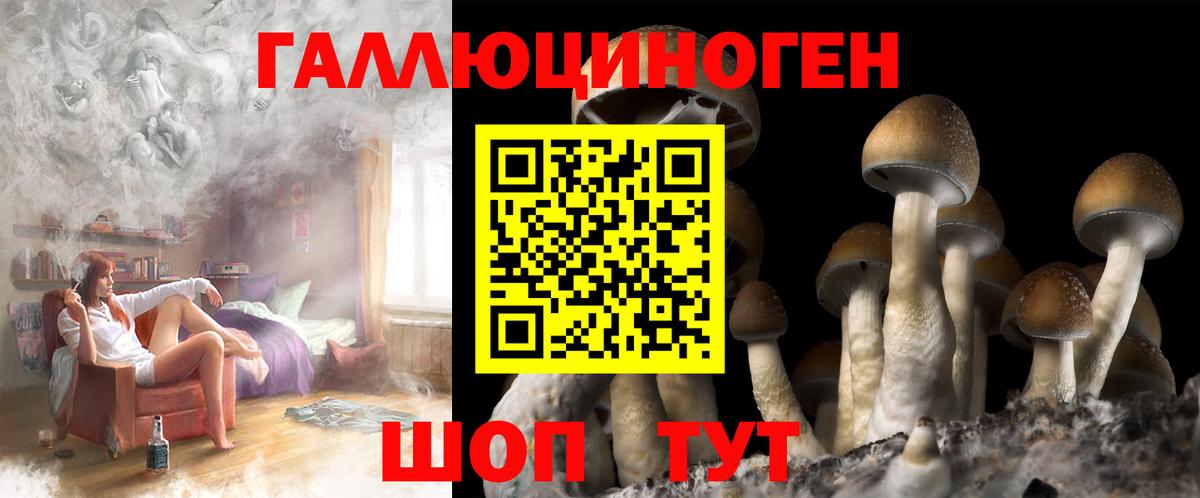 Псилоцибиновые грибы Cubensis Соль-Илецк